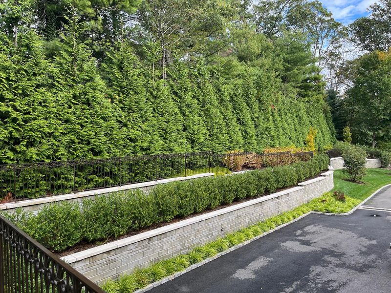 Green Borders Change The Visual Character Of Arkansas Neighborhoods