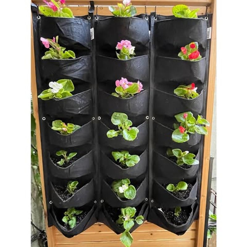Shoe Organizer Planters For Small Spaces