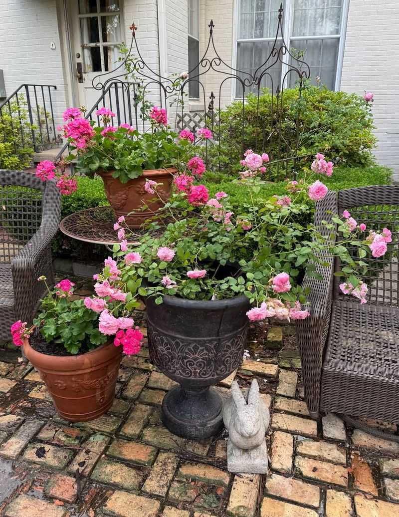 Container Growing Fits Patio Spaces Perfectly