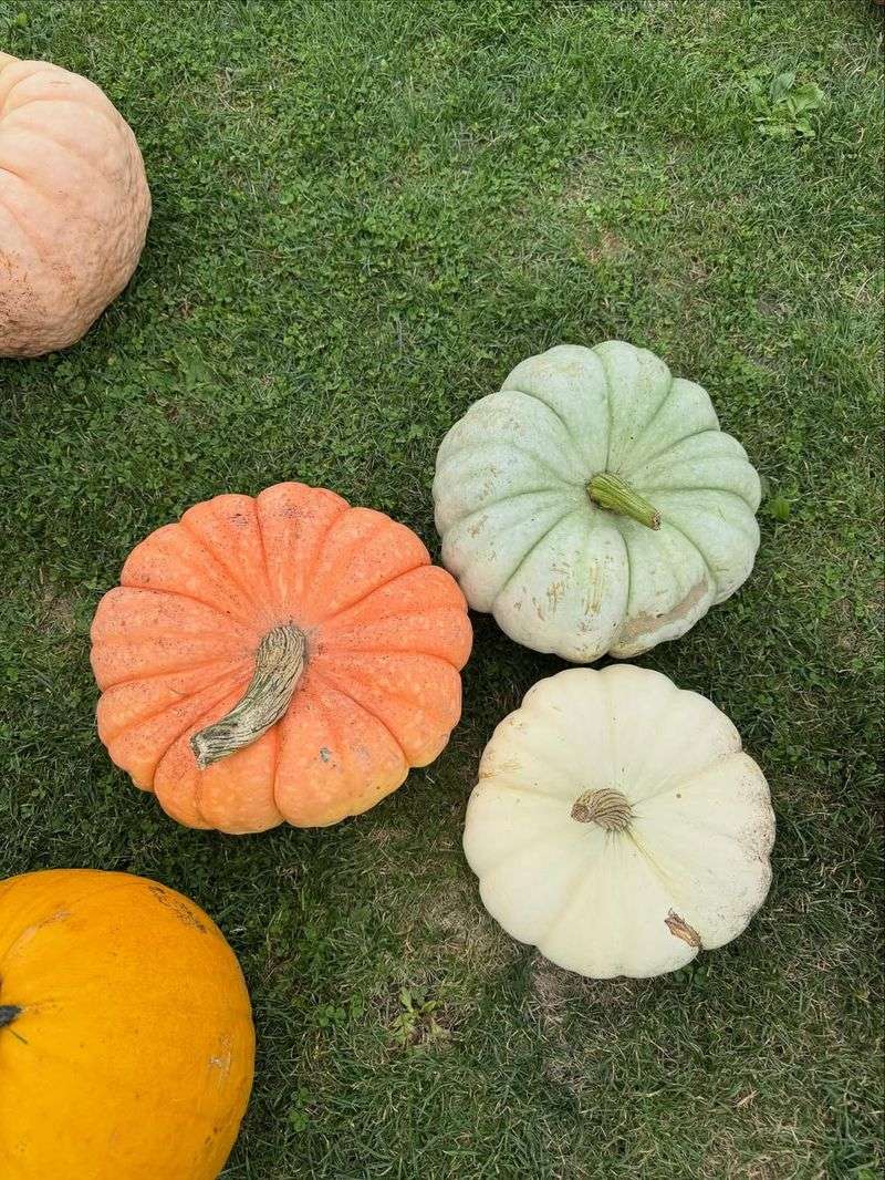 Easy Application With Simple Tools