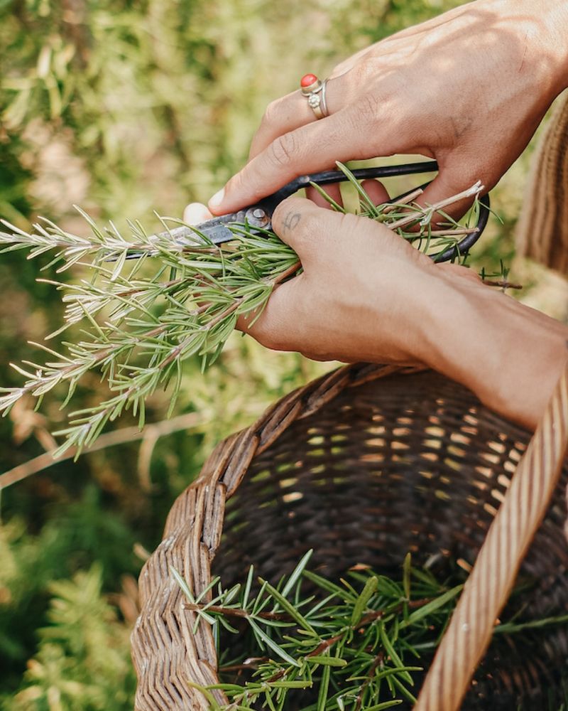 Cultural Connection And Community Identity