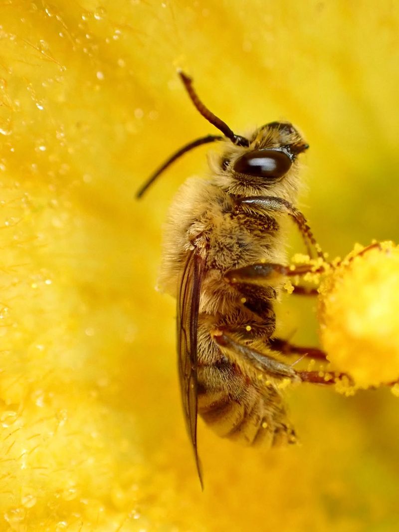 Climate Change Disruptions