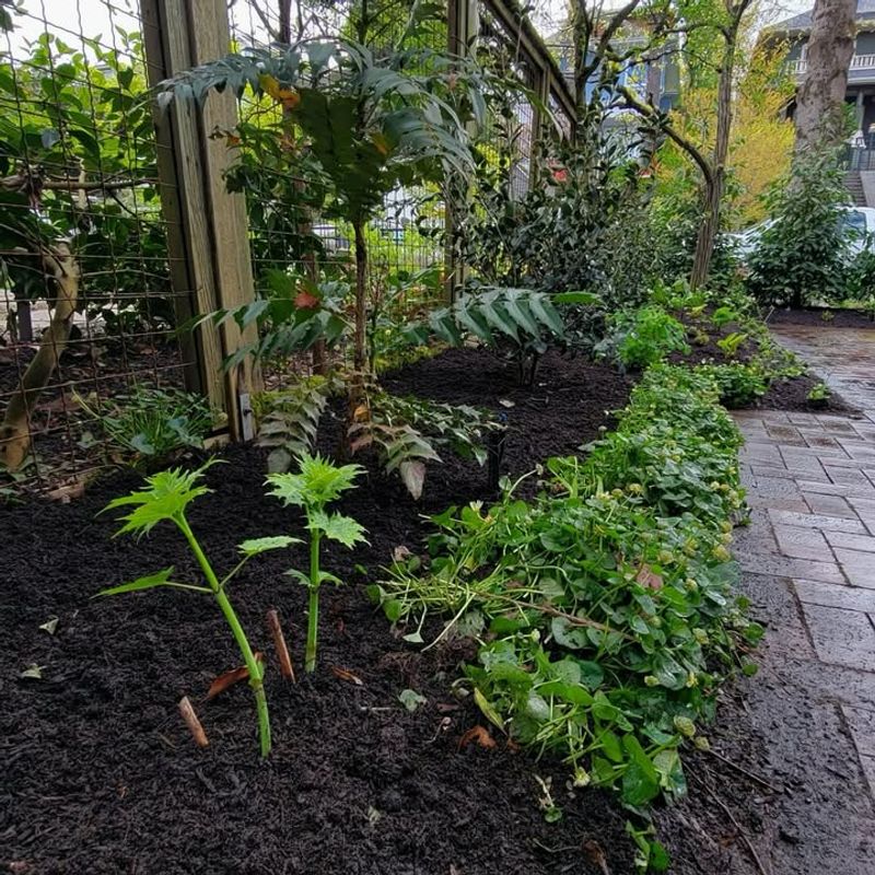 Fully Shaded Garden Corners
