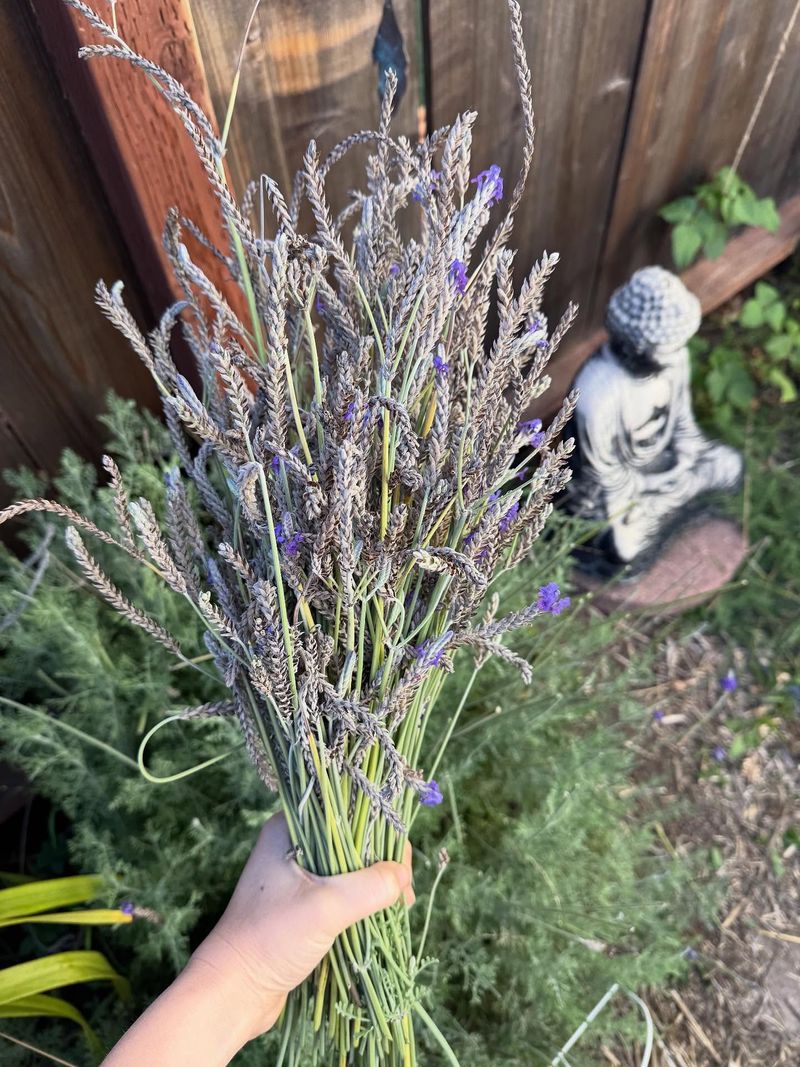 Soothing Aromatherapy Benefits