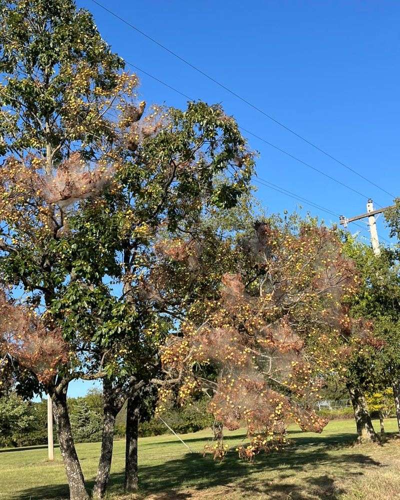 Environmentally Friendly Warning System