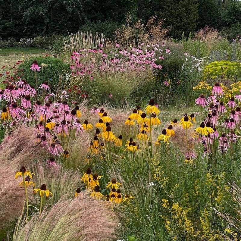 Year-Round Visual Interest