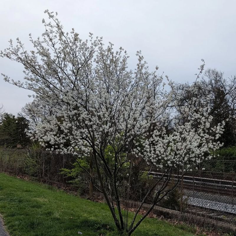 Multi-Season Interest Keeps Pollinators Returning