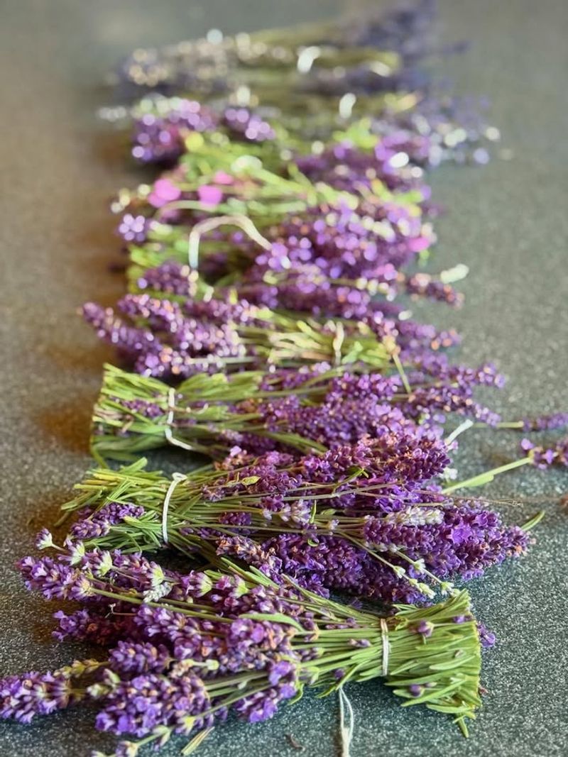 Provides Fresh Herbs For Cooking And Crafts