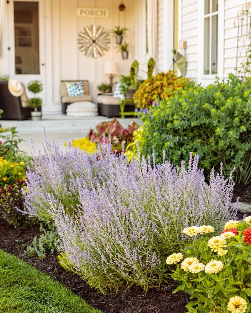 Year-Round Visual Interest