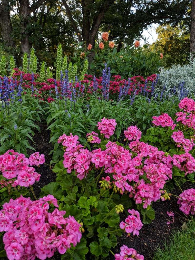 Stunning Color Variety Brightens Spaces