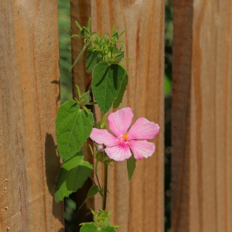 Perfect For Small Spaces