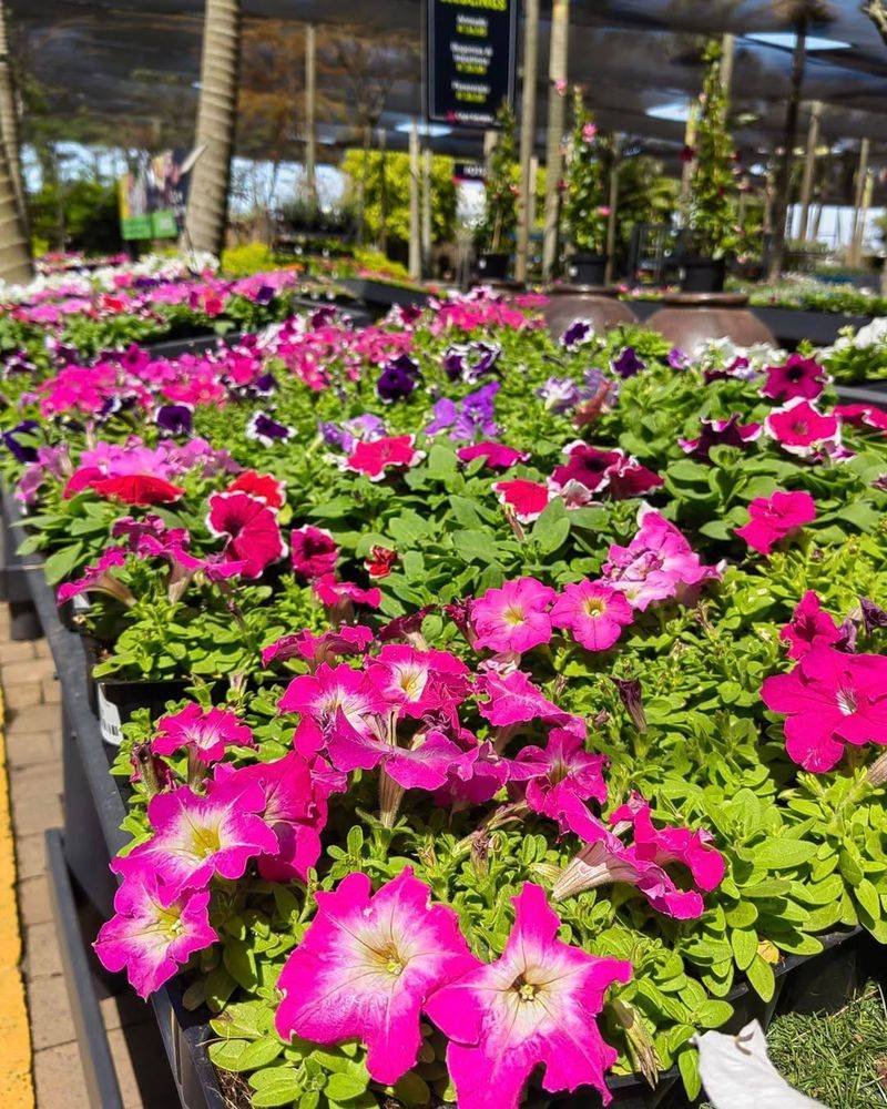 Endless Color Combinations Available