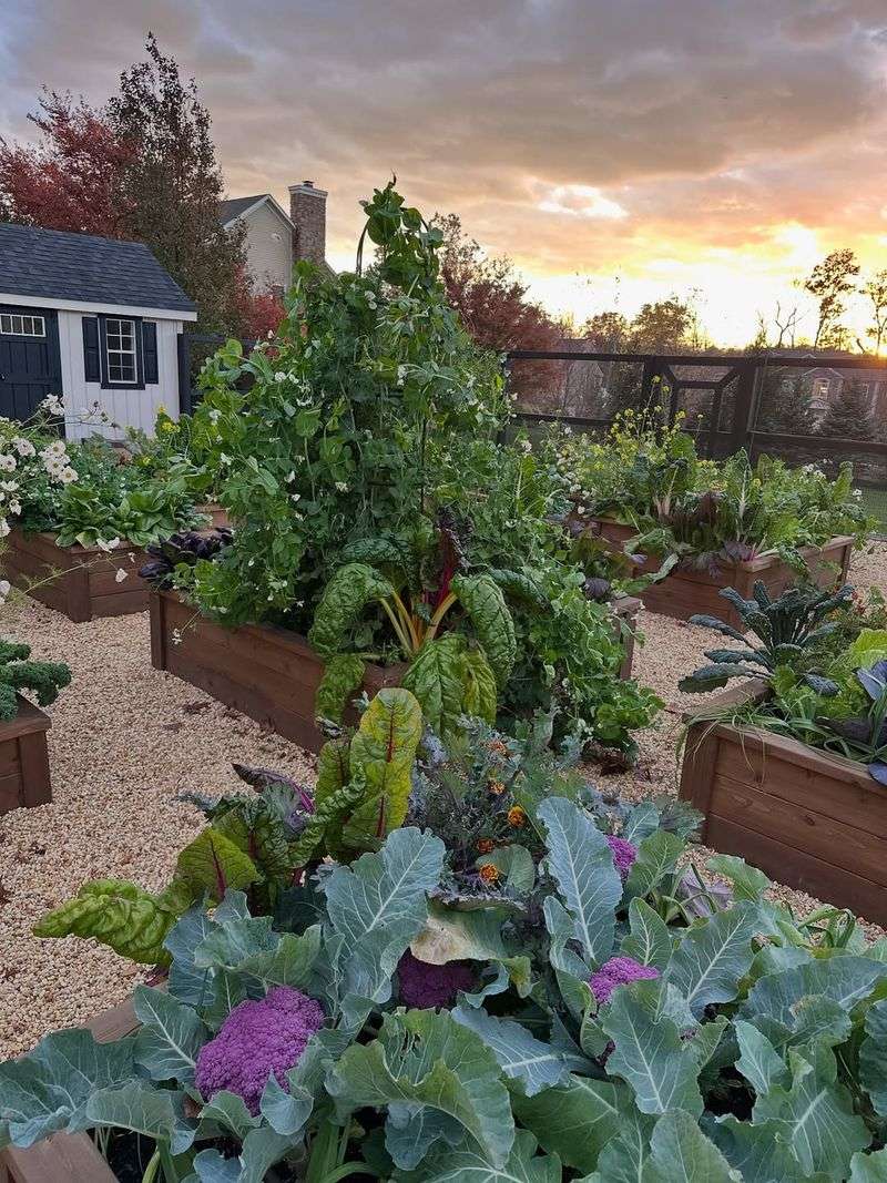 Ideal Timing Aligns With California's Climate Patterns