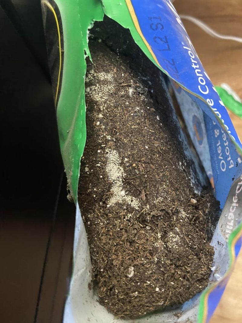 Sealed Bags Trapping Moisture Inside