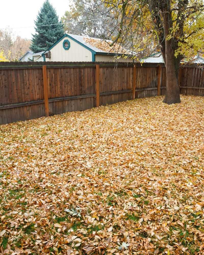 Mulch Those Fallen Leaves