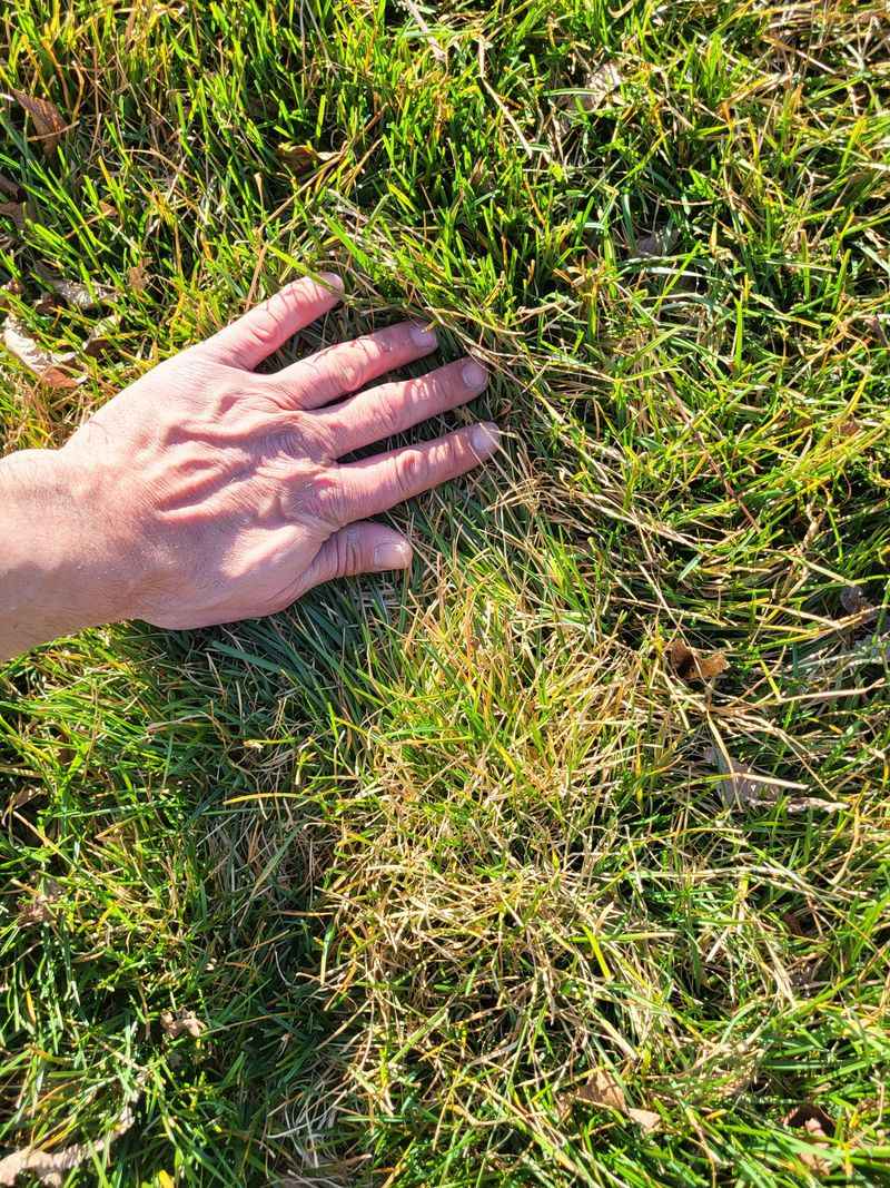 Time Your Final Cut Perfectly