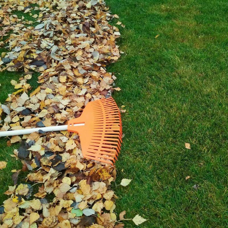 Watch The Weather Before You Mow