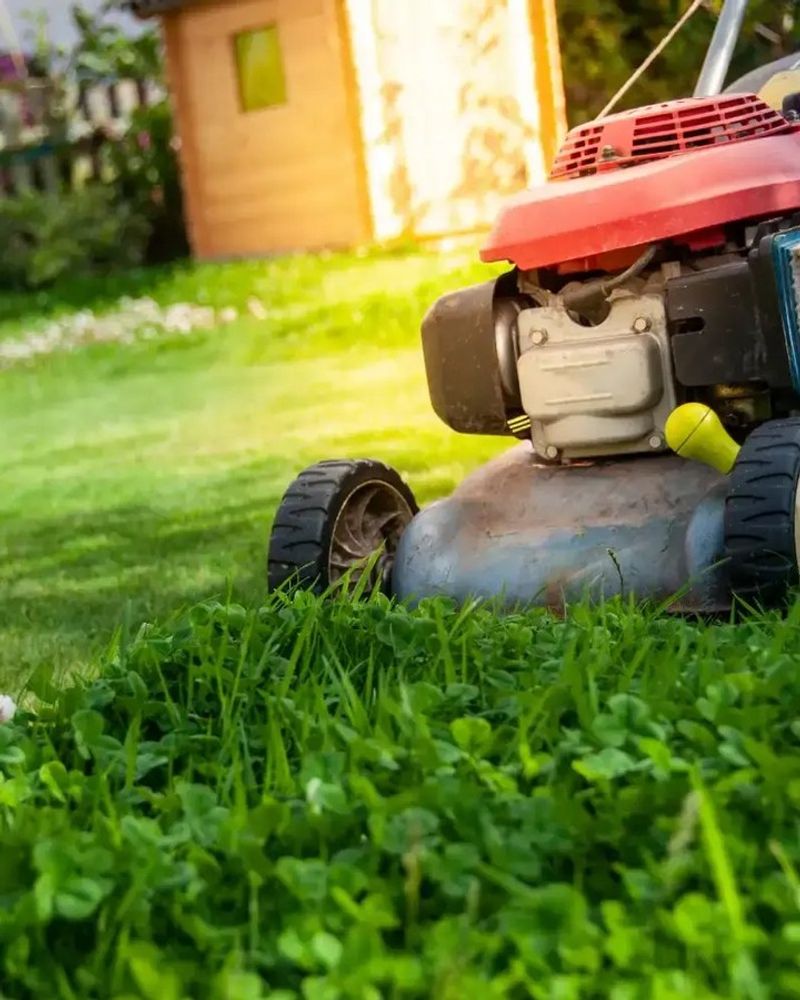 Keep Mowing Until Growth Stops Completely