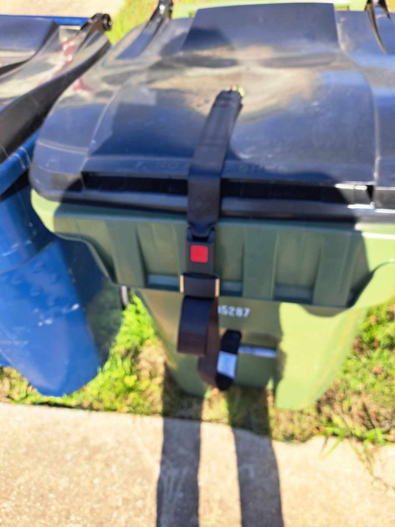 Remove Food Sources and Attractants