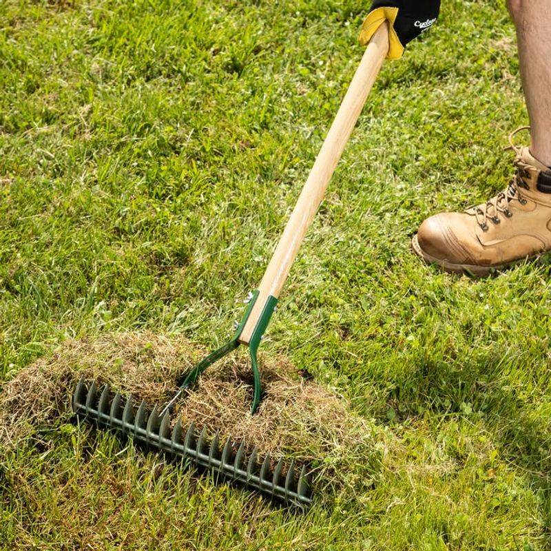 Minimizes Thatch Buildup Problems