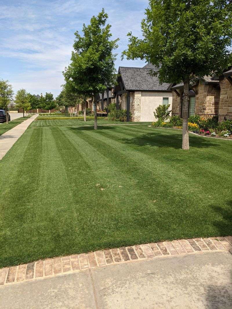 Protects Your Lawn Investment and Property Value