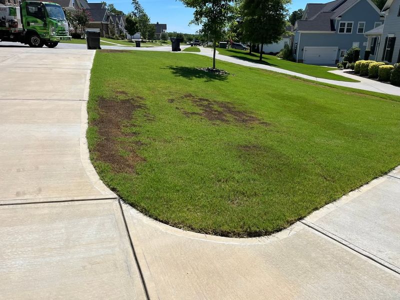 Encourages Deeper Root Development