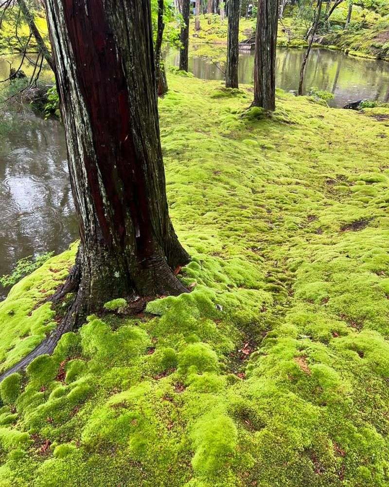 Zero Fertilizer Or Chemicals Needed