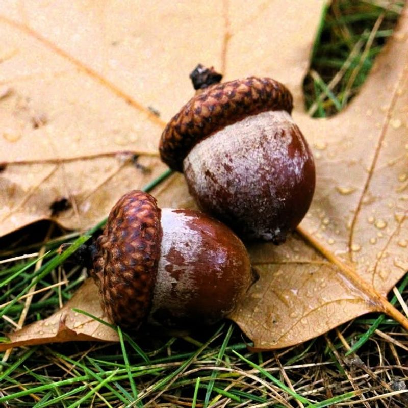 Perfect Weather Conditions