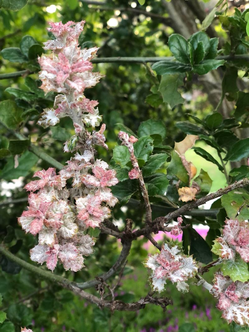 Perfect Spring Weather Conditions