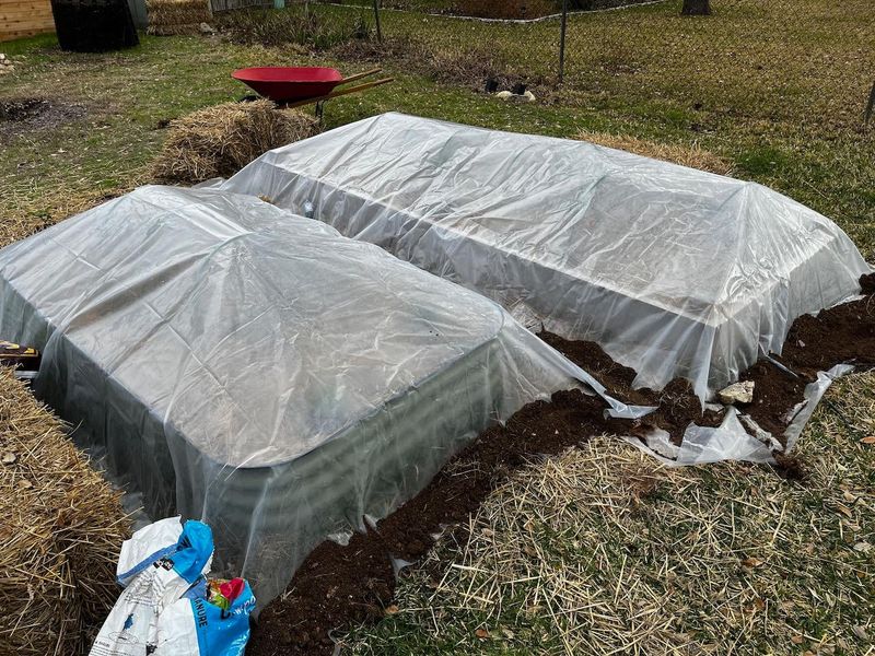 Protect Your Bulbs From Michigan's Freeze-Thaw Cycles