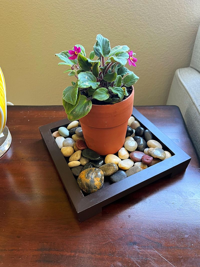 Boost Humidity Levels Indoors