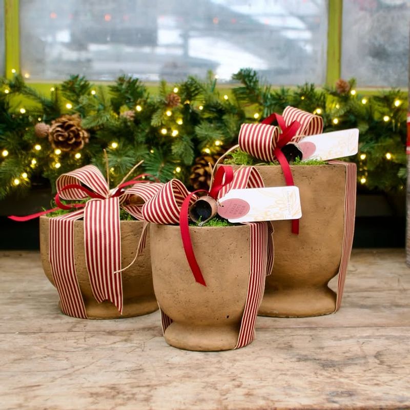 Gifting the Right Color for Recipients