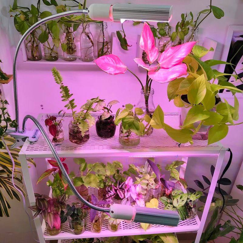 Invest In Quality Grow Lights