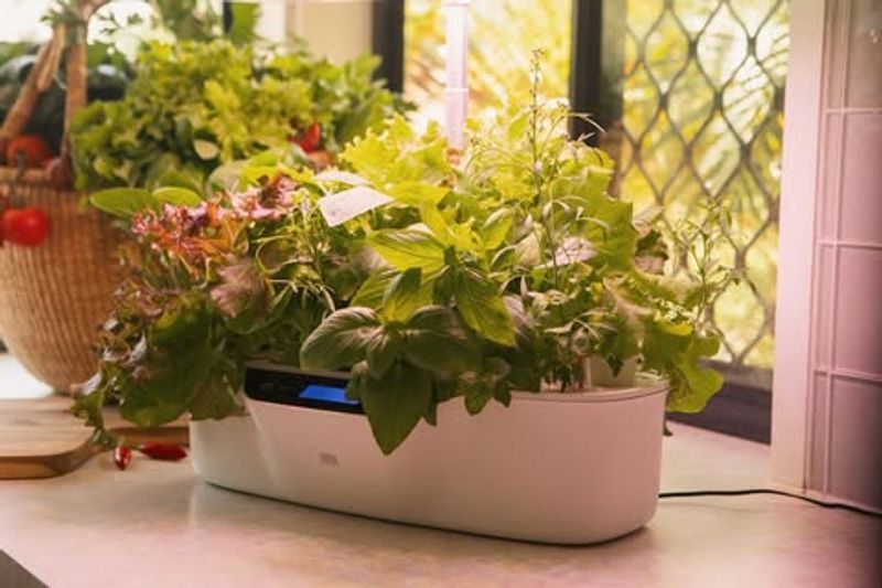 Enjoying Cleaner, Safer Produce