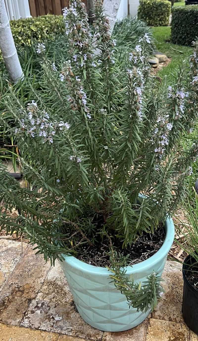 Protection Against Bad Energy