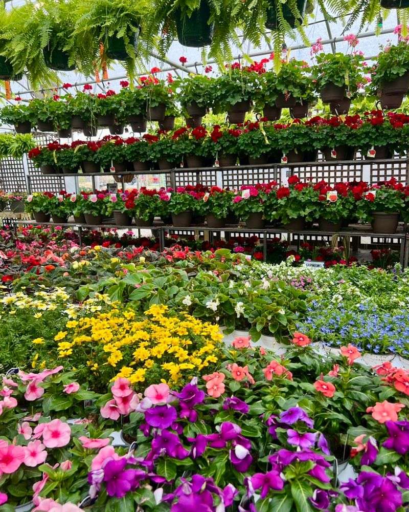 Beat The Spring Rush At Nurseries