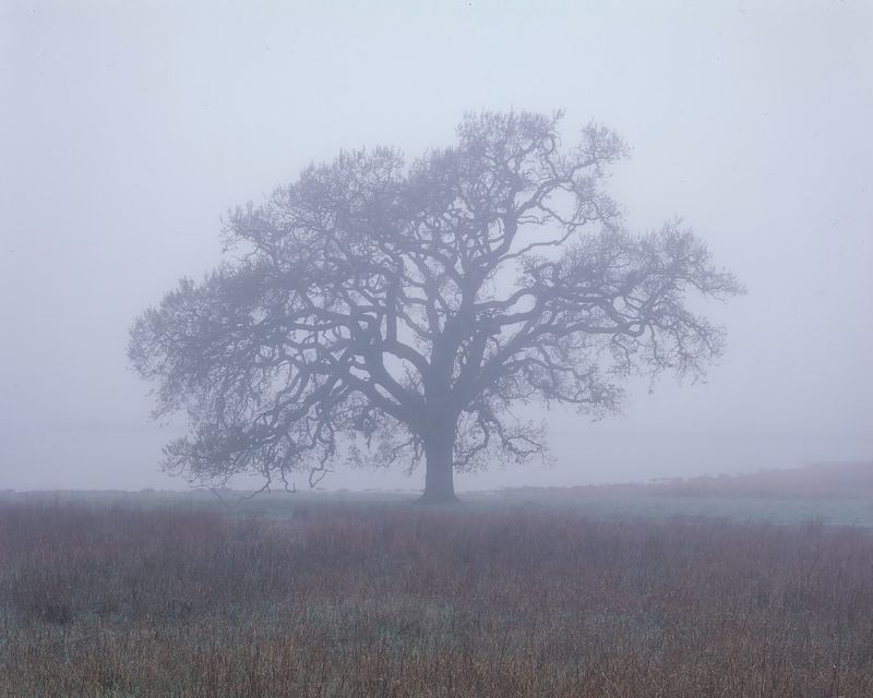 Spring Rains Arrived At Just The Right Time