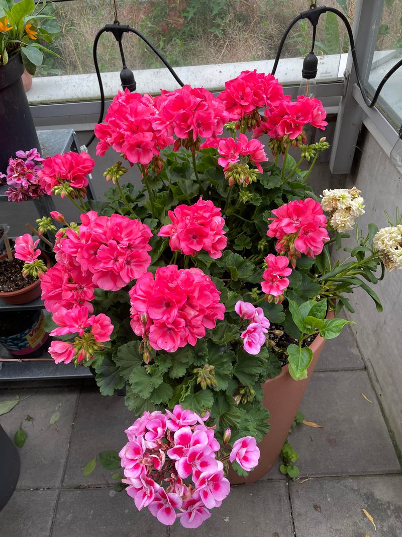 Endless Color Options Match Any Style