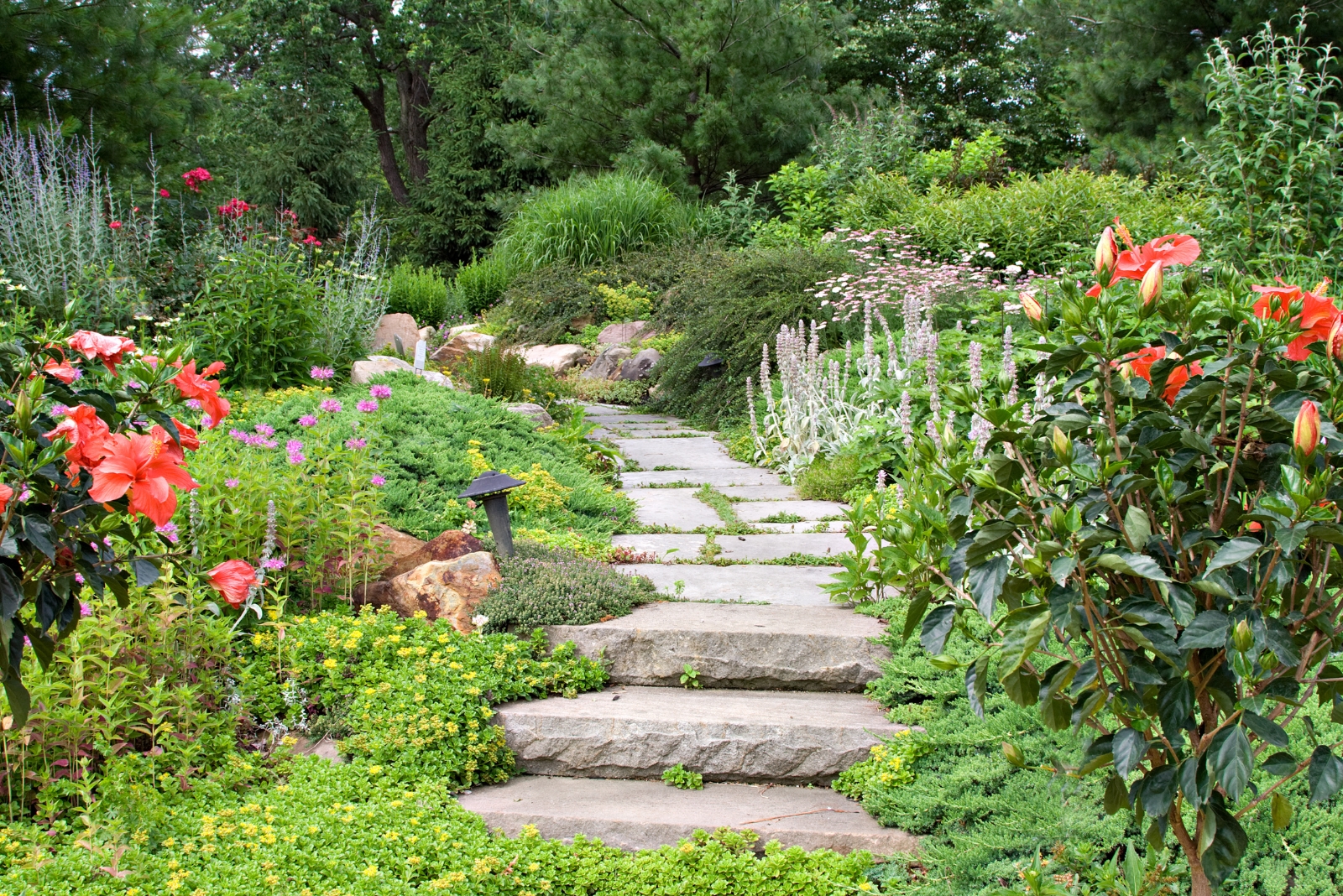 garden (featured image)