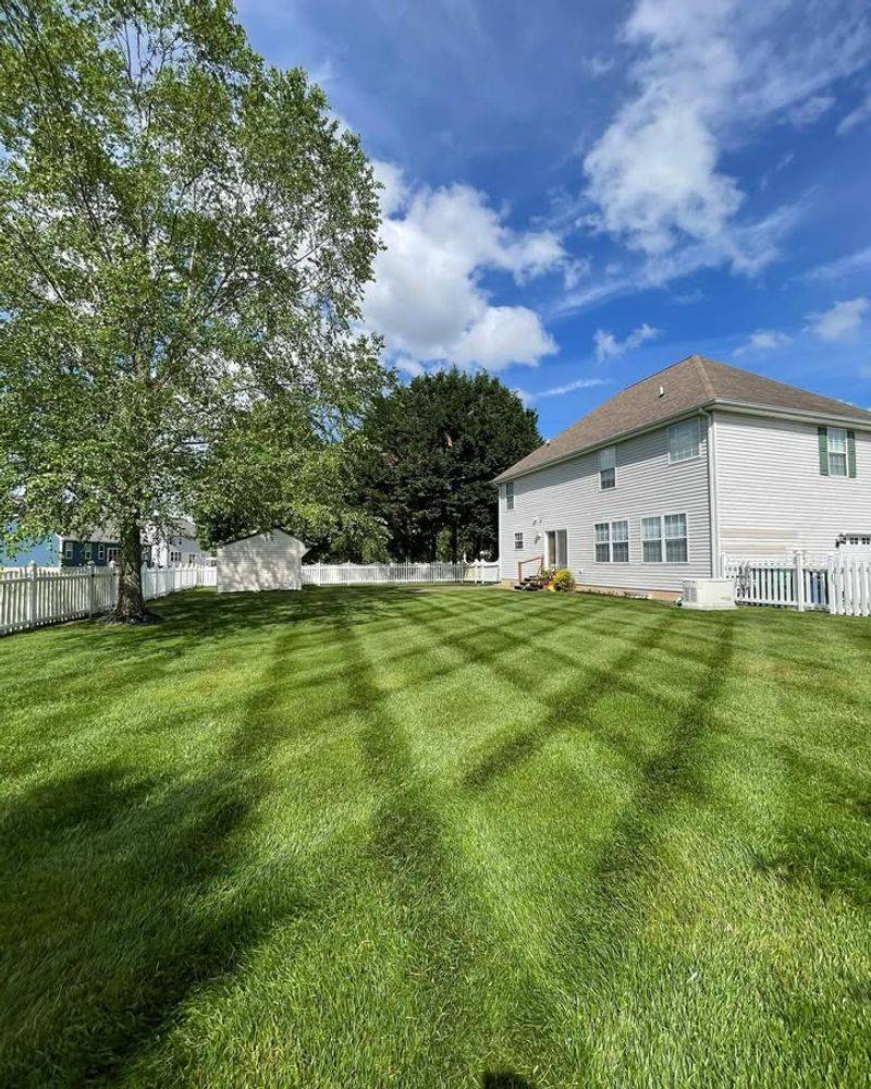 Encourages Deeper Root Growth