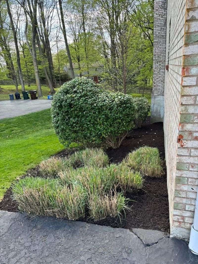 Makes Spring Cleanup Much Easier