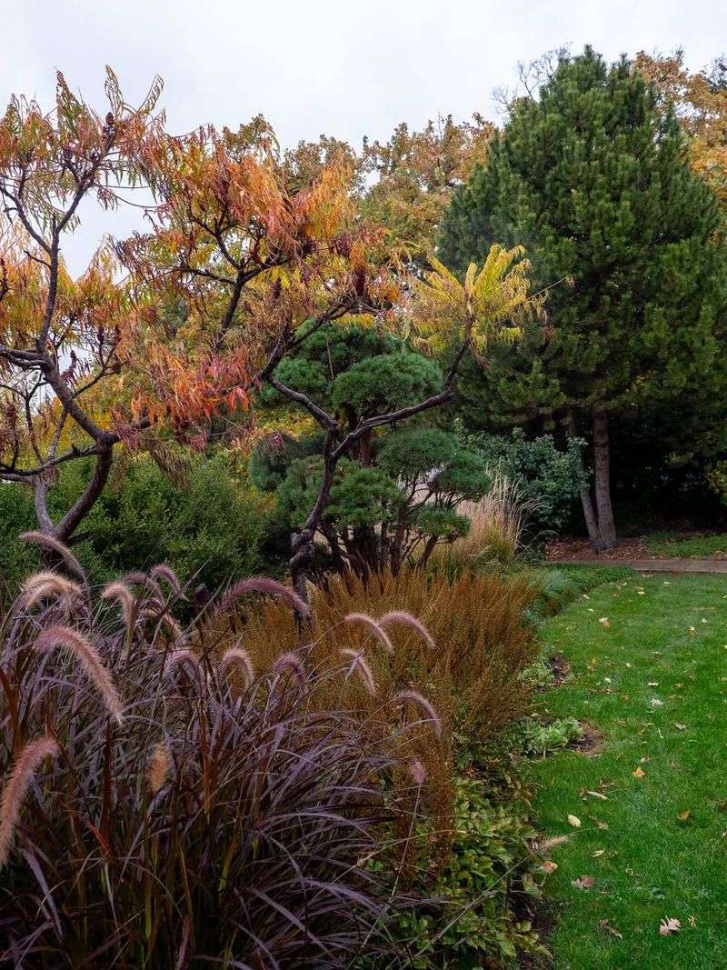 Climate Change Warming Trends