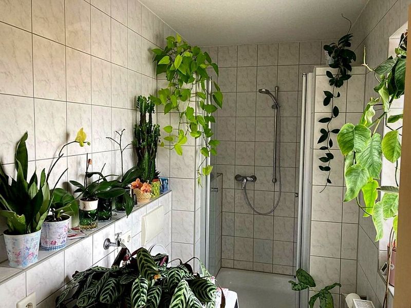 Place Plants In Naturally Humid Rooms