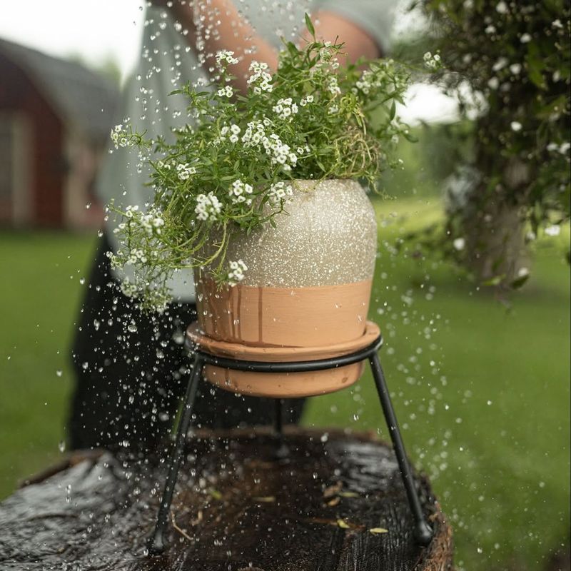 Apply Around The Base Carefully