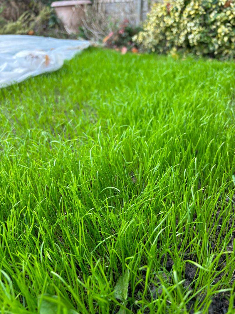 Energy Conservation Matters Most