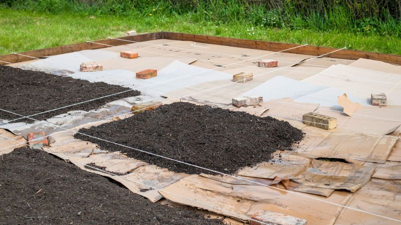 No-Dig Method Protects Soil Structure