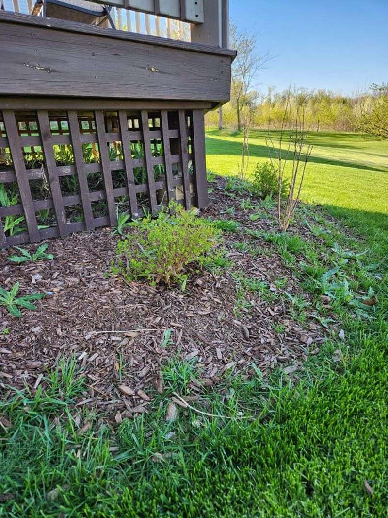 Weed Suppression Before Spring Arrives
