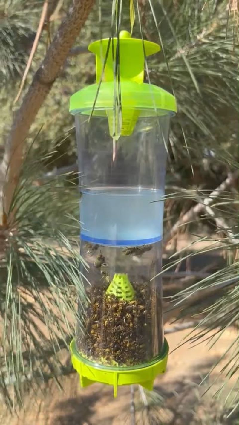 Wasps and Bees Dominate the Feeding Ports