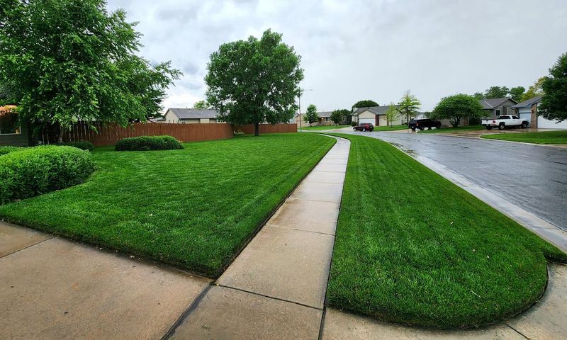 Rainfall Patterns Affect Mowing Schedules