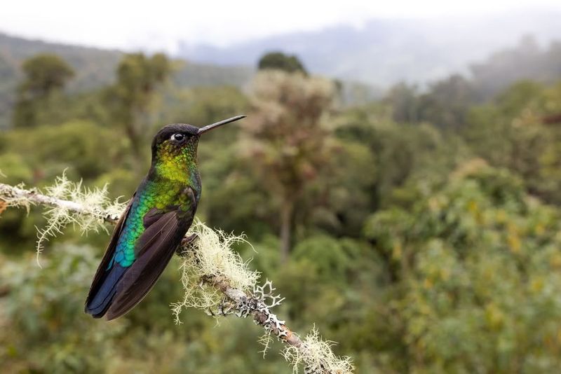 Consider Elevation And Geographic Location